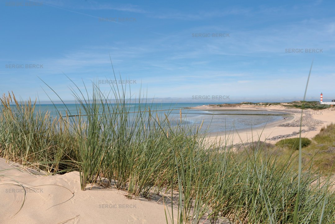 /picture/helios/116260001/GABRIEL TERSEN Rdc/6_2026-04-03CEST18h00-06.jpg